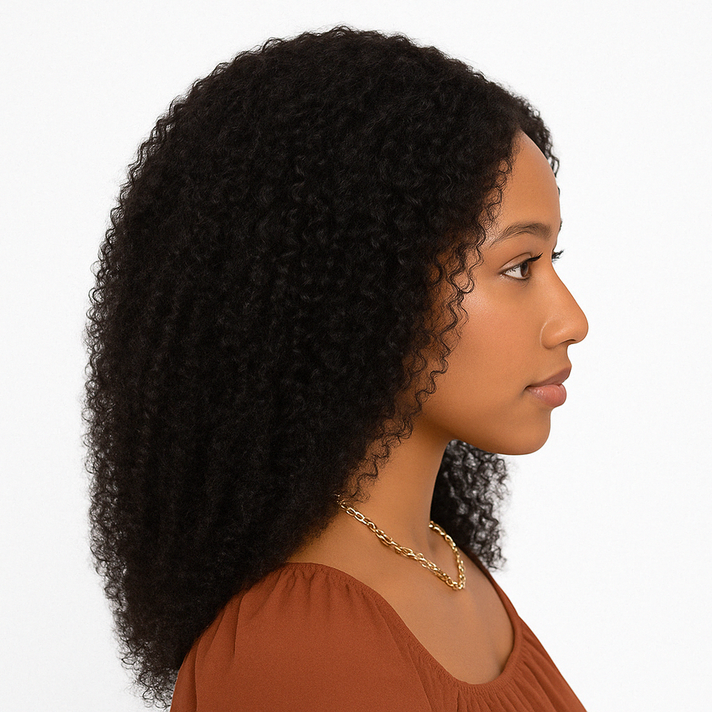 Kinky Curly HD Lace Wig